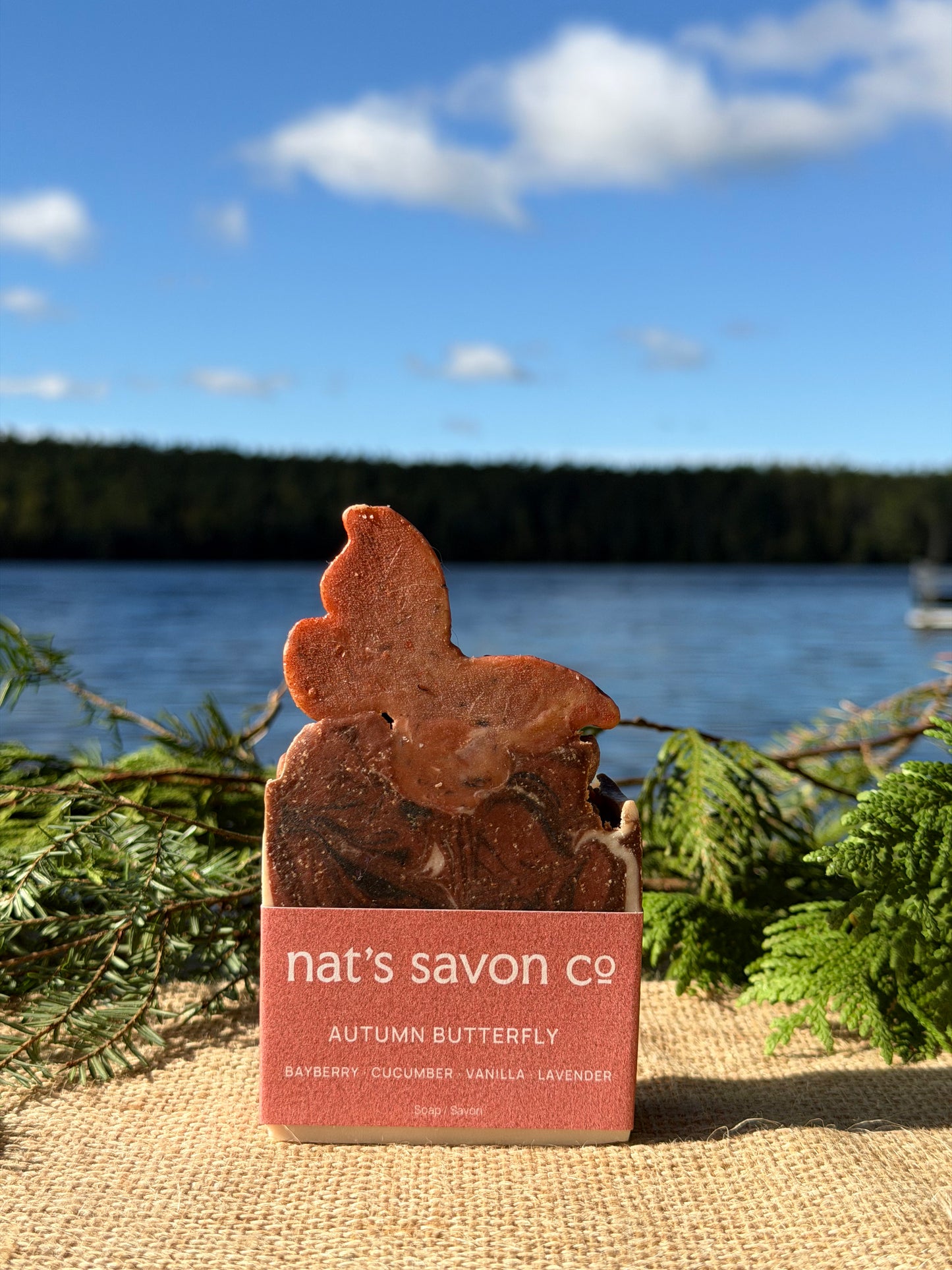 Autumn Butterfly