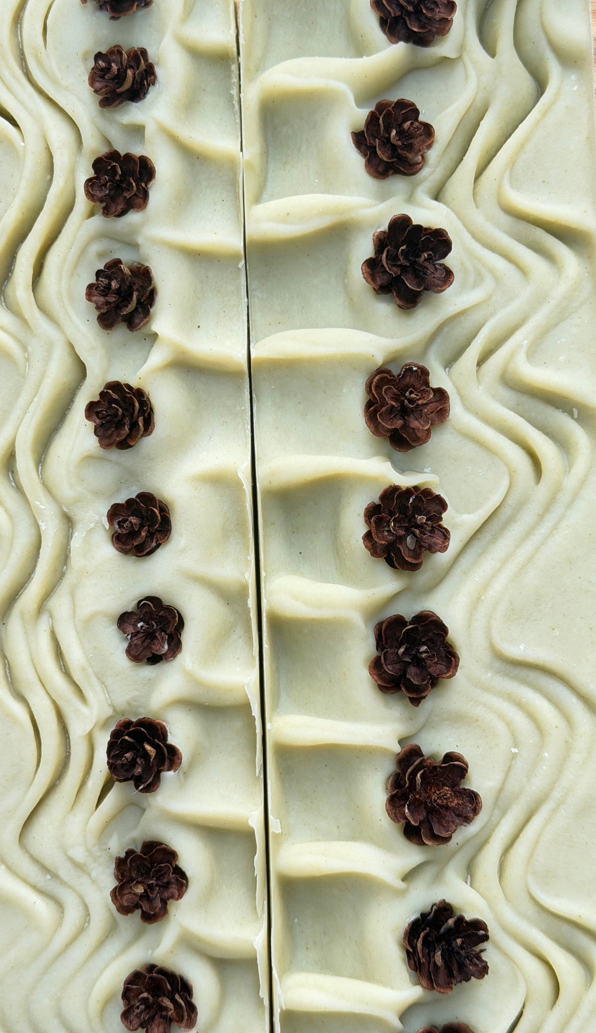 Boréal