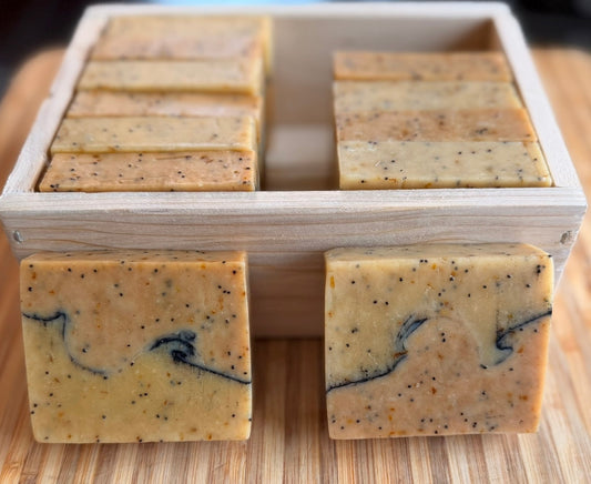 Orange Lemon Poppyseed Bar